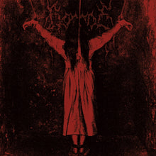 Load image into Gallery viewer, Cover Art