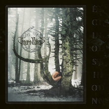 Load image into Gallery viewer, Cover Art