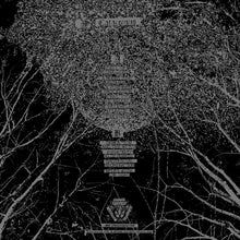 Load image into Gallery viewer, Cover Art